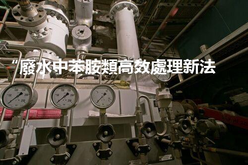 “廢水中苯胺類高效處理新法，環(huán)保先鋒引領綠色以后”